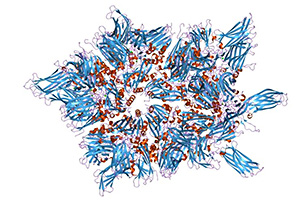 Grafik des Molekularstruktur von jenem Protein, das mit 2df7 code registriert ist