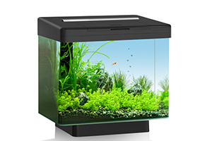 Juwel Vio 40 - (c) Juwel Aquarium GmbH & Co. KG