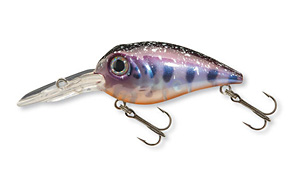 Wobbler (sehr aktiv)