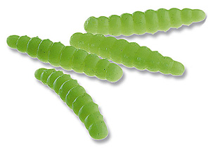 Maden (Fliegenmaden)