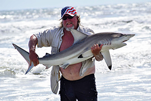 Kleiner Schwarzspitzenhai