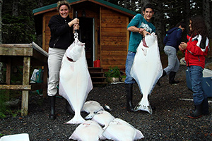 Heilbutt-Fang in Alaska (Raspberry Island)