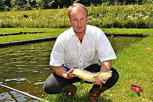 Seeforelle (Salmo trutta lacustris)