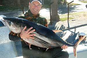 Weißer Thun (Thunnus alalunga)