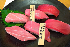 Sushi vom Südlichen Blauflossen-Thunfisch