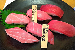 verschiedene Thunfisch-Filets