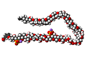 Kalottenmodell von Maitotoxin-1