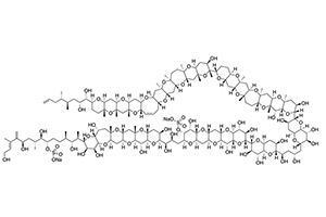 Kalottenmodell von Maitotoxin-1