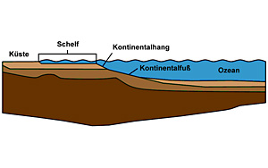 Kontinentalrand mit Schelfbereich