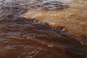 Rio Negro (Schwarzwasserfluss) und Rio Solimões (Weißwasserfluss)