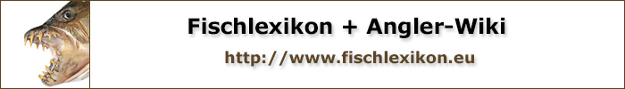 Fischlexikon.eu