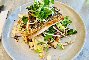 Urheber:Kgbo - Lizenz:CC BY-SA 4.0