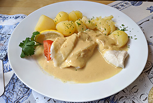 Copyright by Jürgen Westhauser (Fischlexikon.eu)