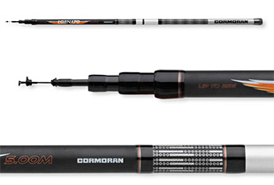 CORMORAN LORNATO Bologneserute