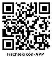 QR-Code scannen