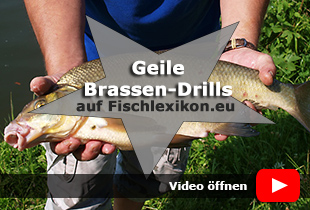 Modern angeln auf Brassen. Ein Video von Big Fish Media
