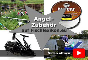 Tuning von Angelruten