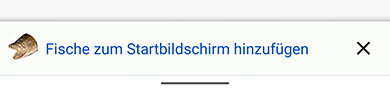 Web APP zum Startbildschirm hinzufügen